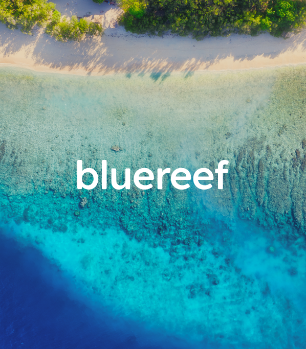 Bluereef Capital encarga el desarrollo de su web a Midatel