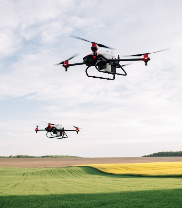 Codesian confía en Midatel para implementar herramientas avanzadas de Business Intelligence