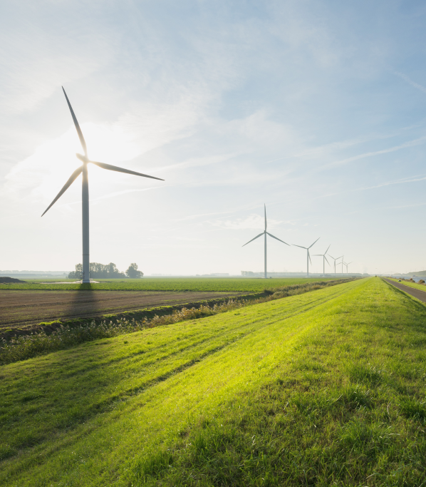 Suma Capital confía en Midatel para fortalecer su presencia en internet