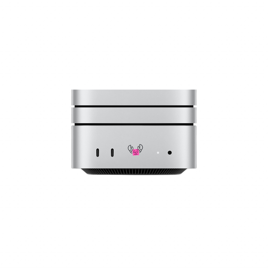 Servidor Open Claw en mac mini